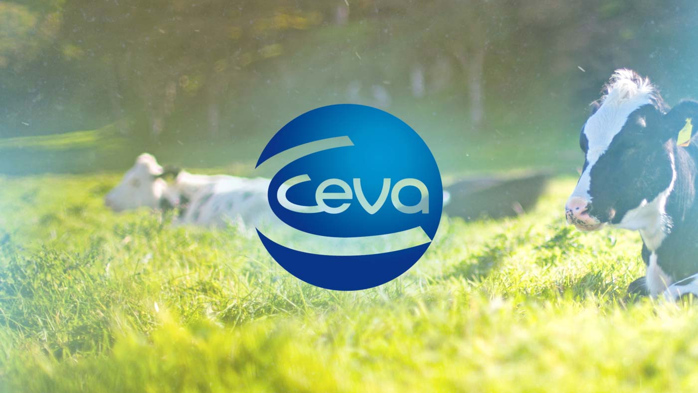 Proyecto Virtual Training desarrollado para CEVA Velactis por Imascono