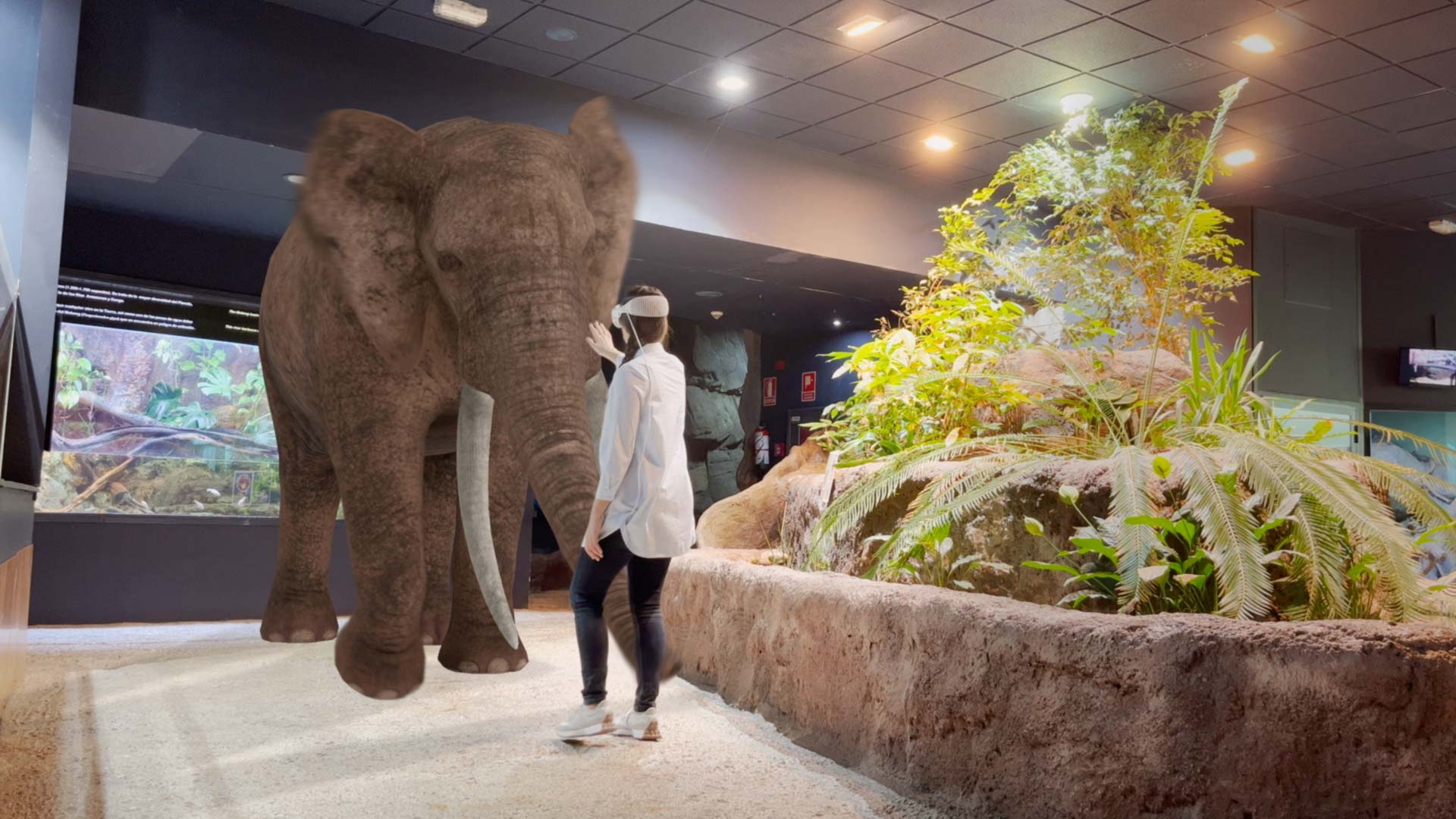 Ocio digital - Proyecto Spatial Computing desarrollado por Imascono